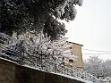 12-02-2010 10h26 26